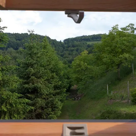 Pod Orehi Casa de hóspedes