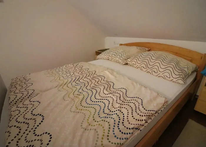 Pod Orehi Penzion 3*